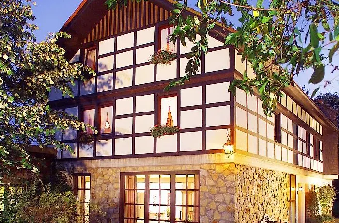 明镜施瓦林霍夫兰德酒店 酒店 巴特德里堡